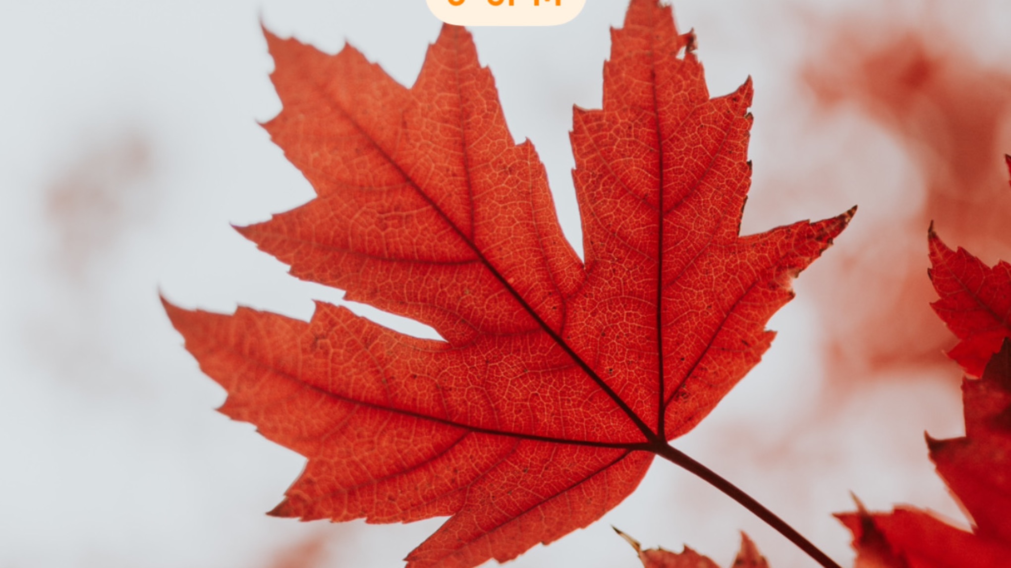 Sound Bath & Pilates with Jo & Matilda