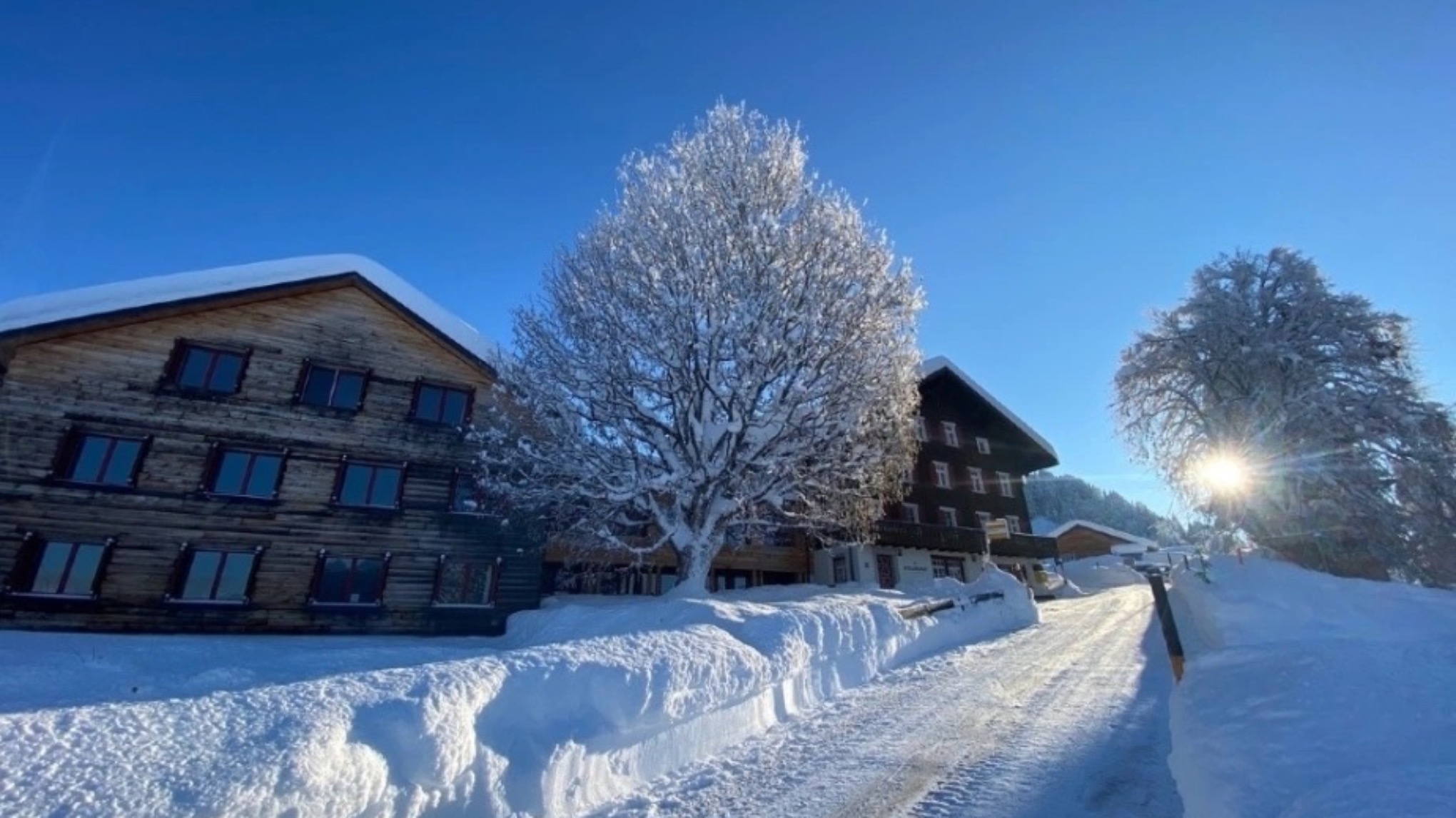 Yoga-Retreat im Stelserhof, Prättigau