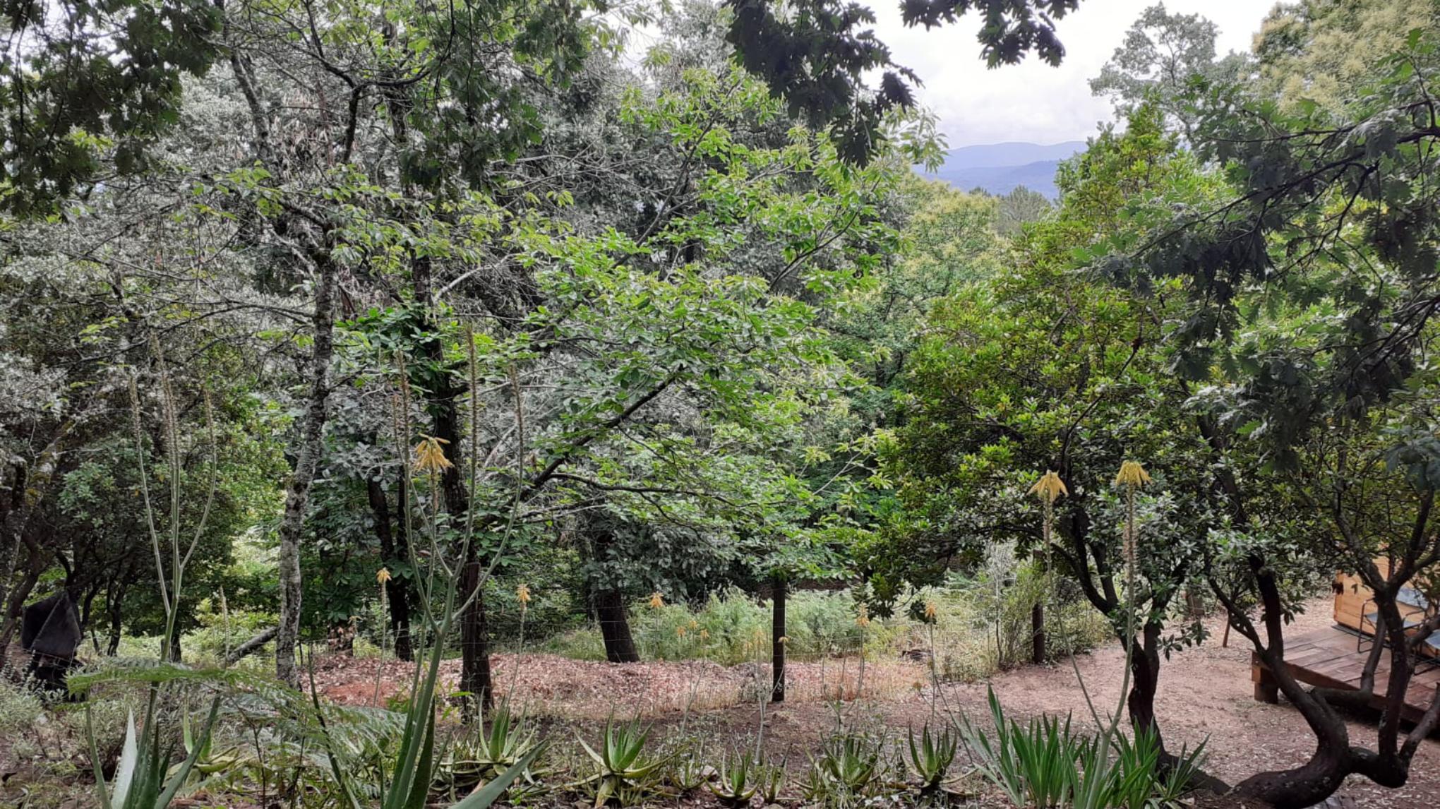 Yoga & Wellbeing Retreat - 4 days/3 nights in Sierra de Gredos, Ávila