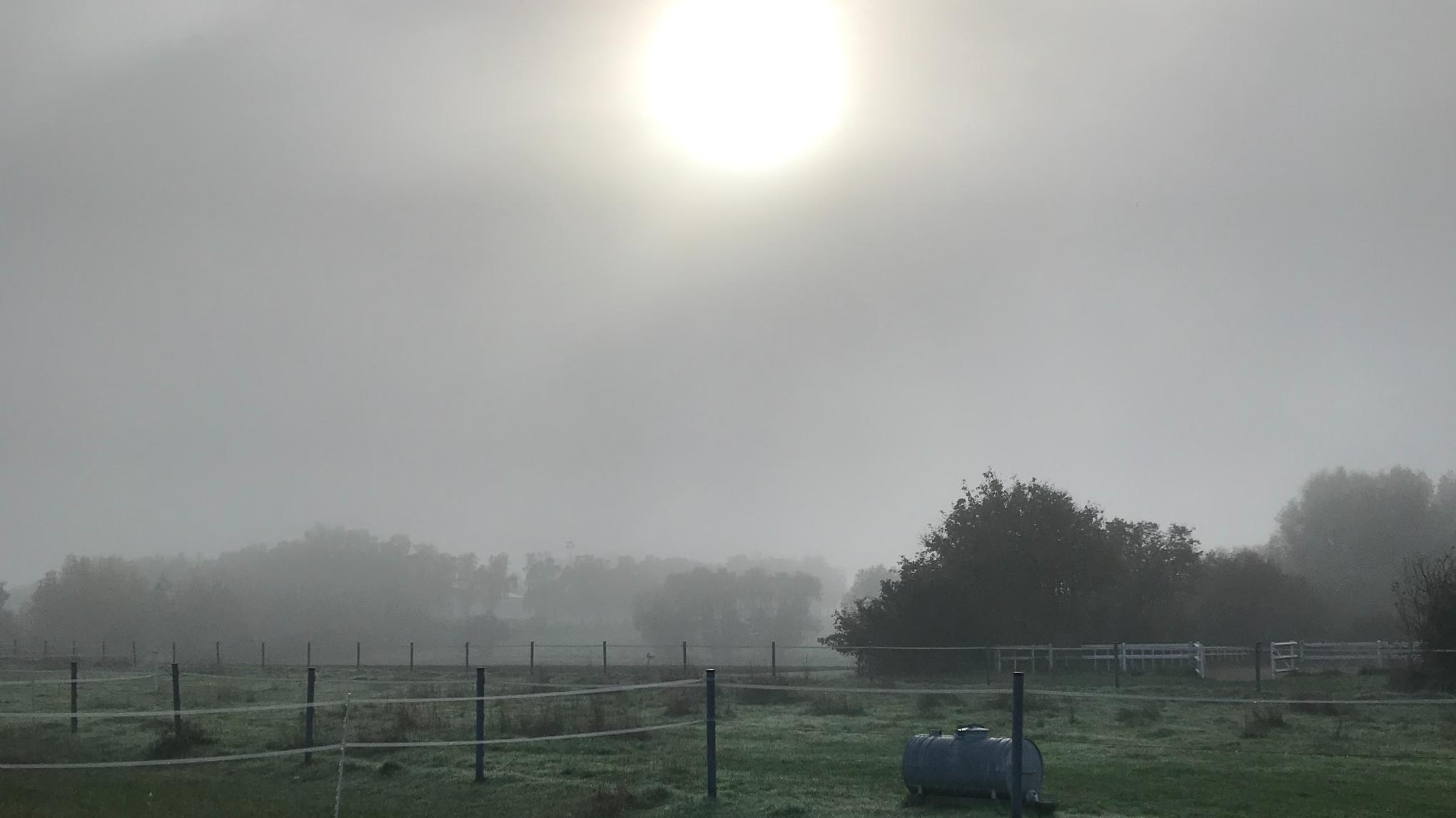 Yule Winter-Sonnenwende - Ritual zum Jahreskreisfest