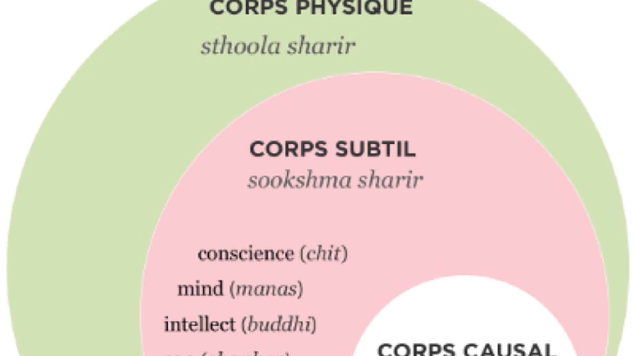 Mini retraite urbaine : Les 3 corps et leurs fonctions