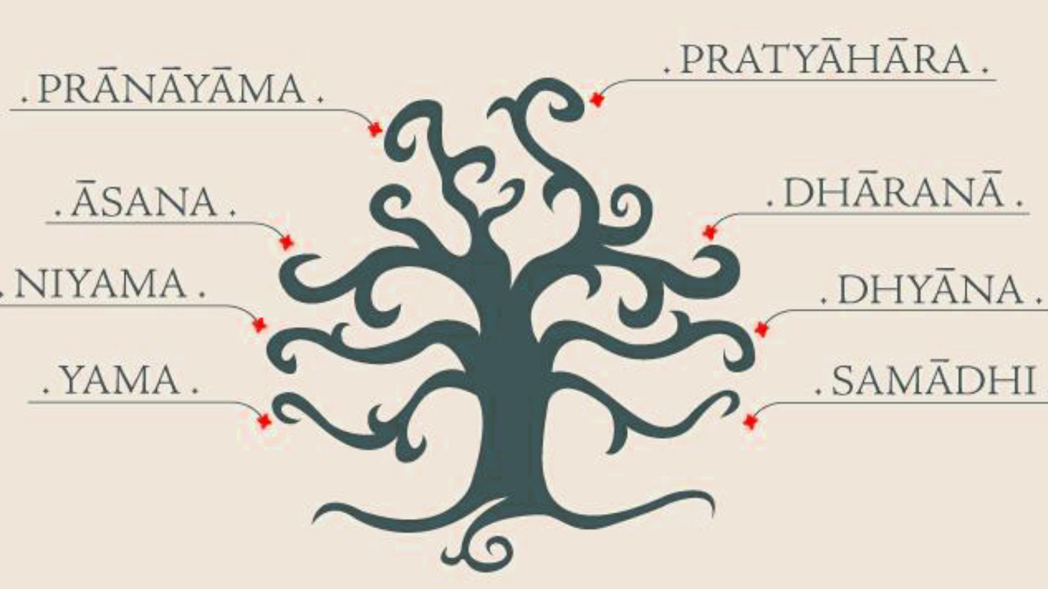 Le RV mensuel avec Julie : les 8 branches du Yoga III