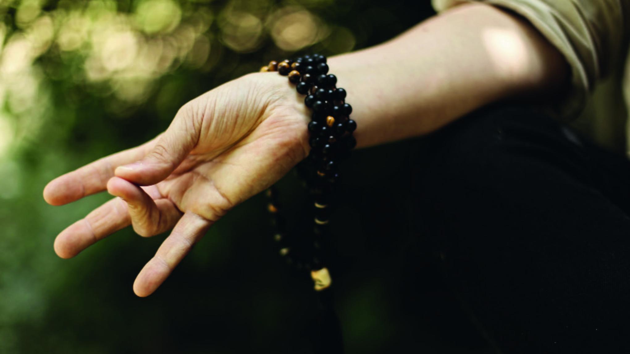 Einführung in die Meditation - Workshop mit Anna Schönecker