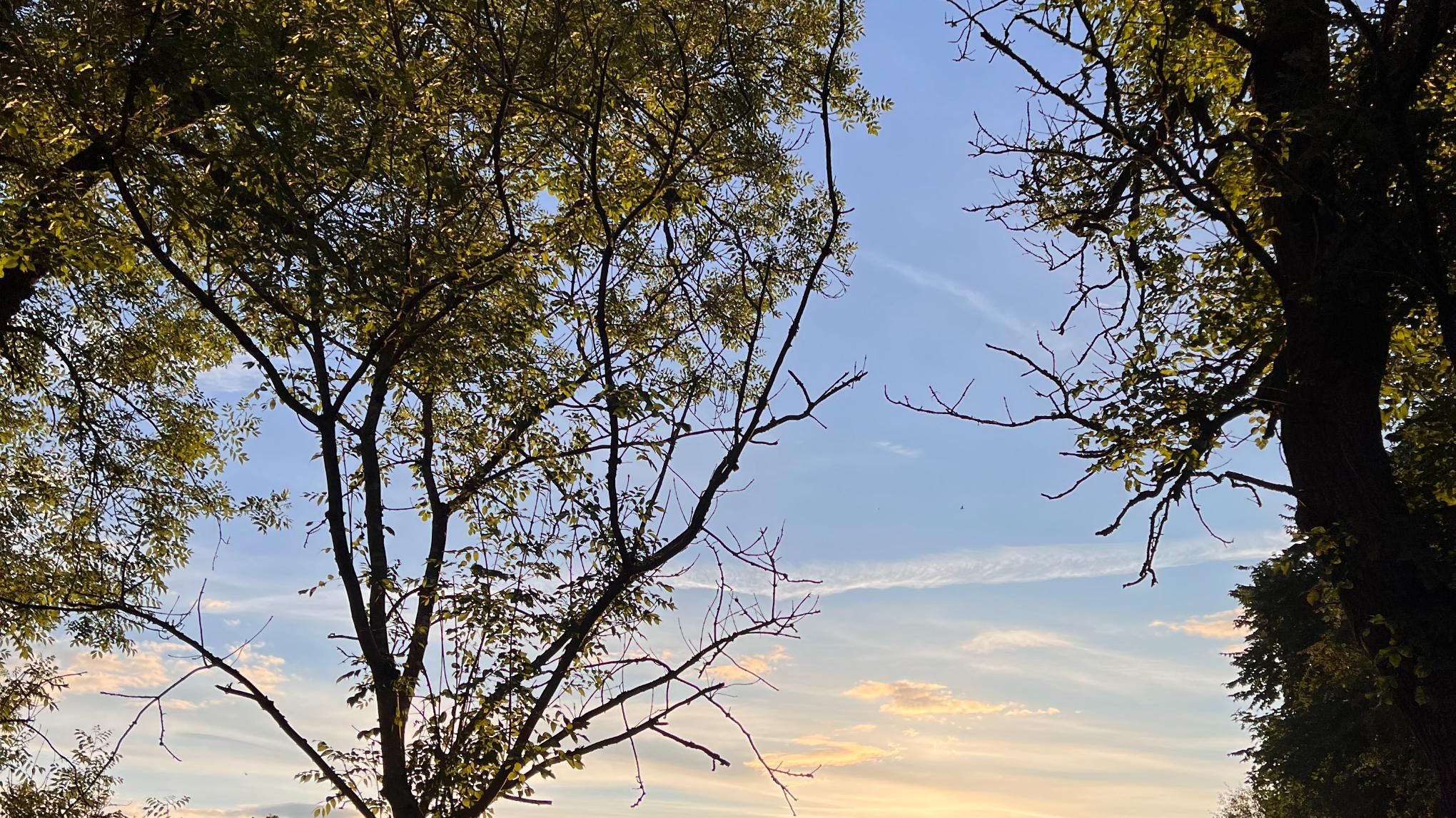 Autumn mini yoga and music retreat.