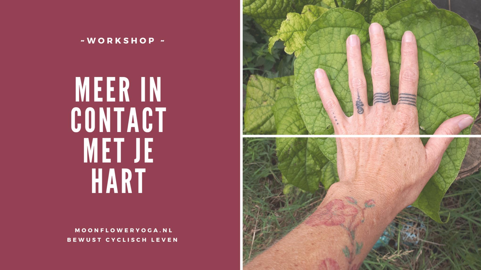 Workshop ~ Meer in contact met je hart