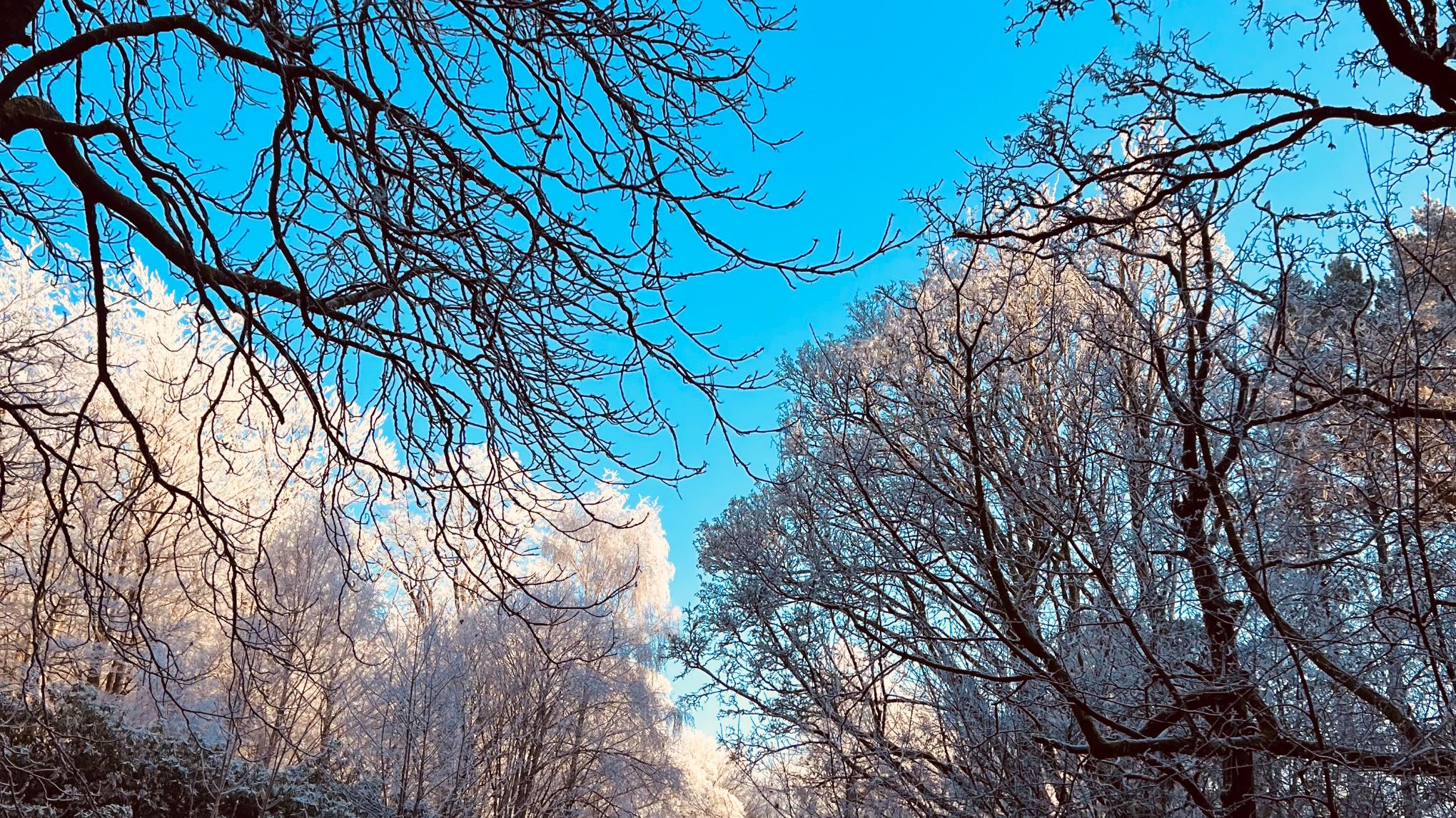 Winter Yoga and Music Retreat