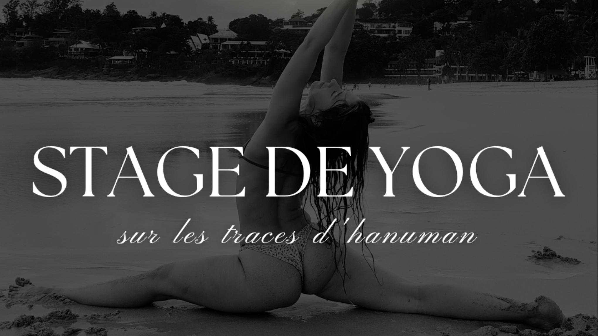 WORKSHOP SUR LES TRACES D'HANUMAN