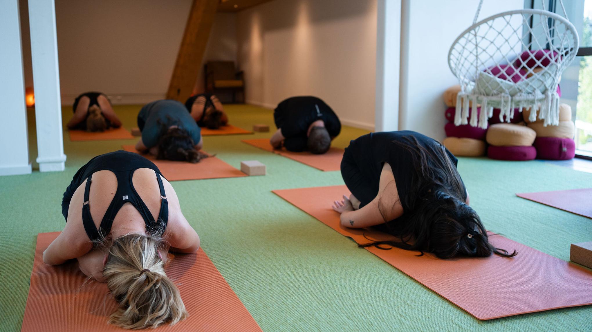 Mini-retreat Yin yoga + Yoga nidra
