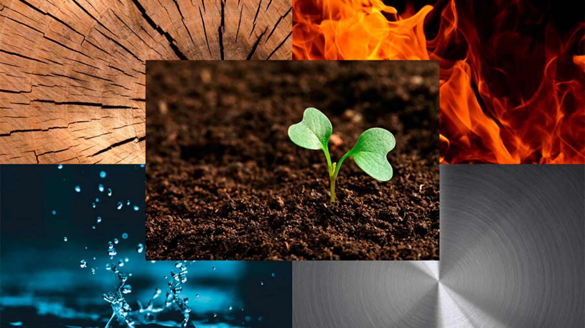 10-Jarig Jubileum Special: Een yin-reis door de Vijf Elementen - met Jet