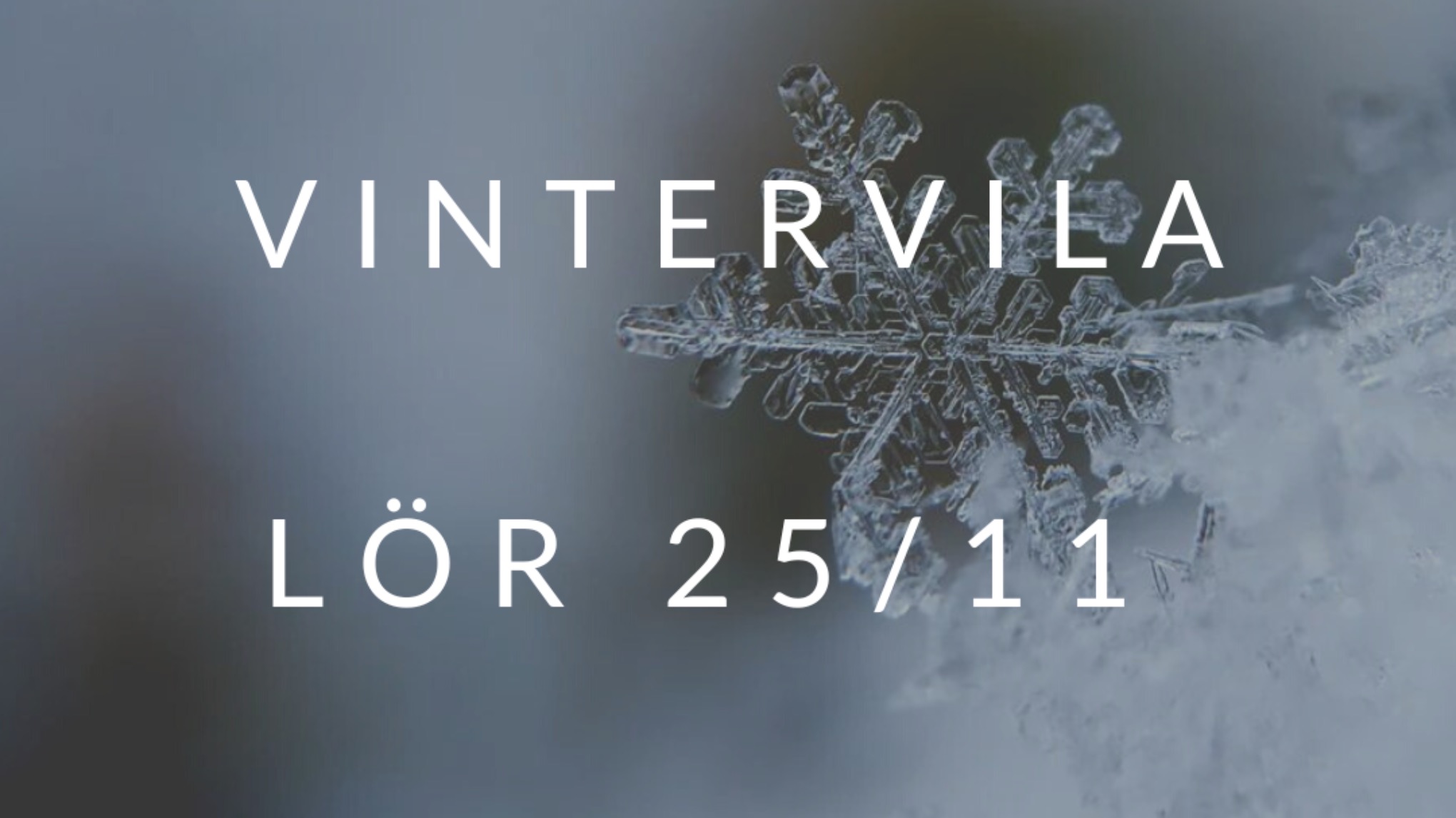 FULLBOKAD Vintervila - Yinyoga & Yoga Nidra