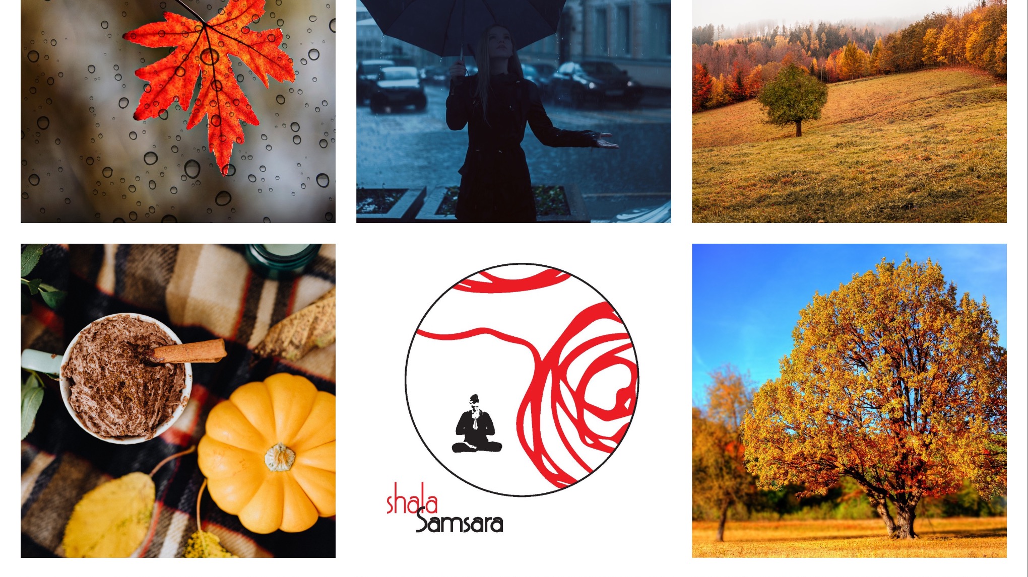 Balans: Yin Yoga & meditation lange les