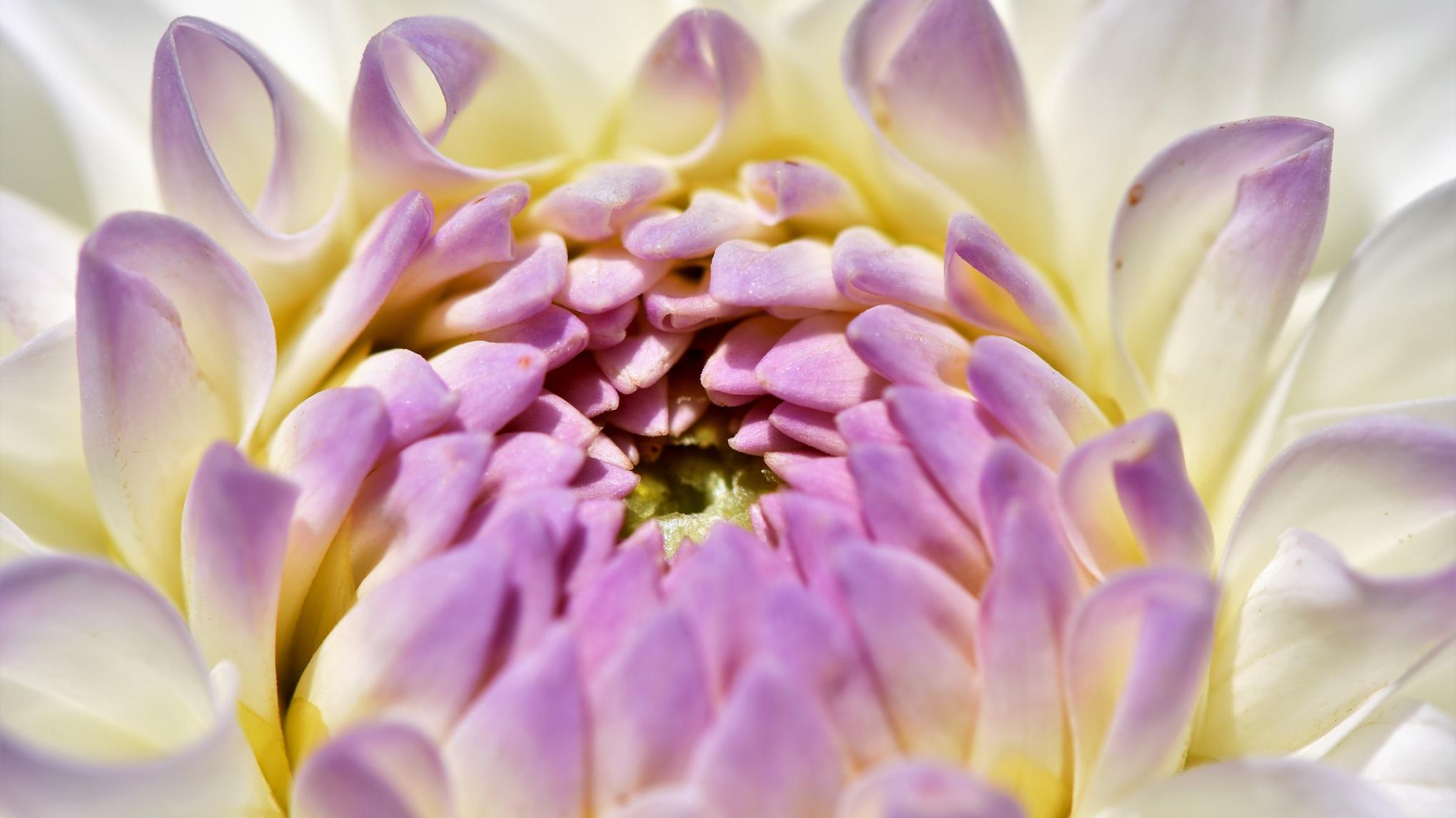 Kennismakingsbijeenkomst "Leven in Openheid"