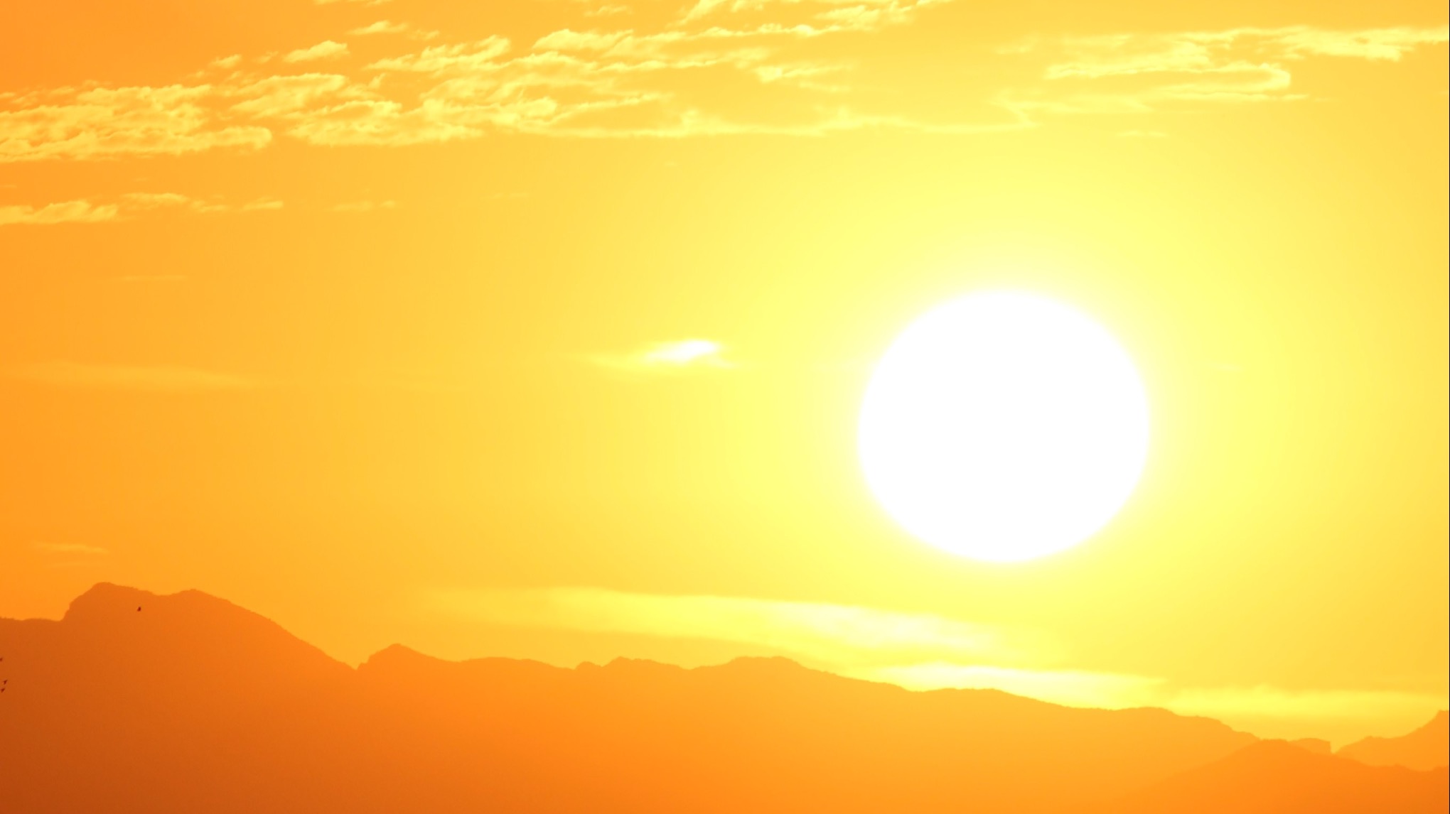 Extended Yin: Summer the Fire Element