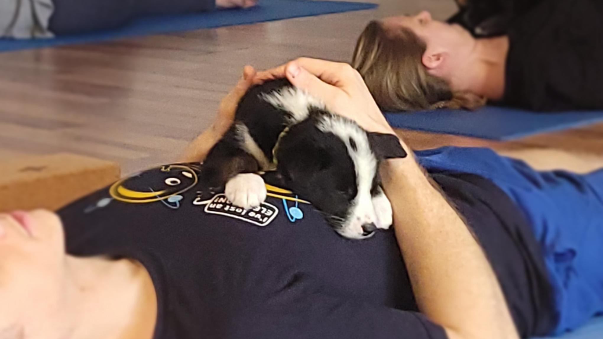 Puppy Yoga! 11:00 am to 12:00