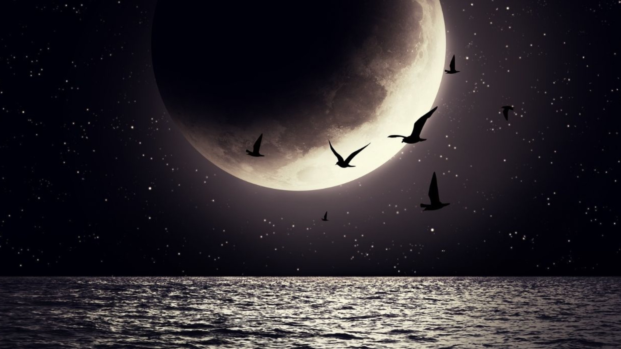 Neumond-Yoga *kostenfrei 🌙