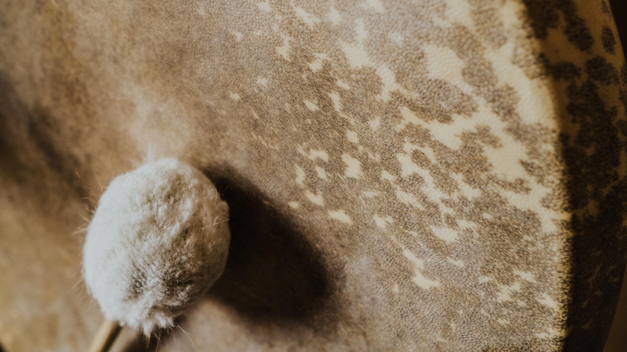 Yoga und Schamanisches Trommeln