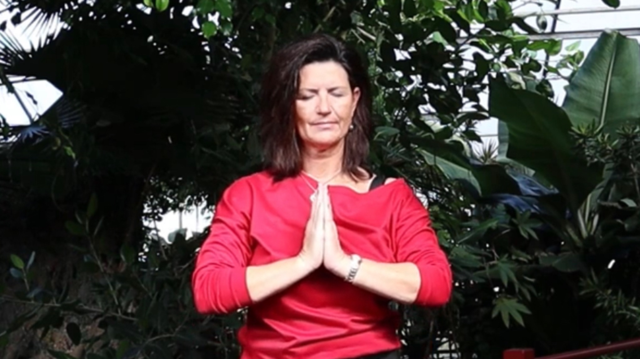 Introductieworkshop Zhineng Qigong
