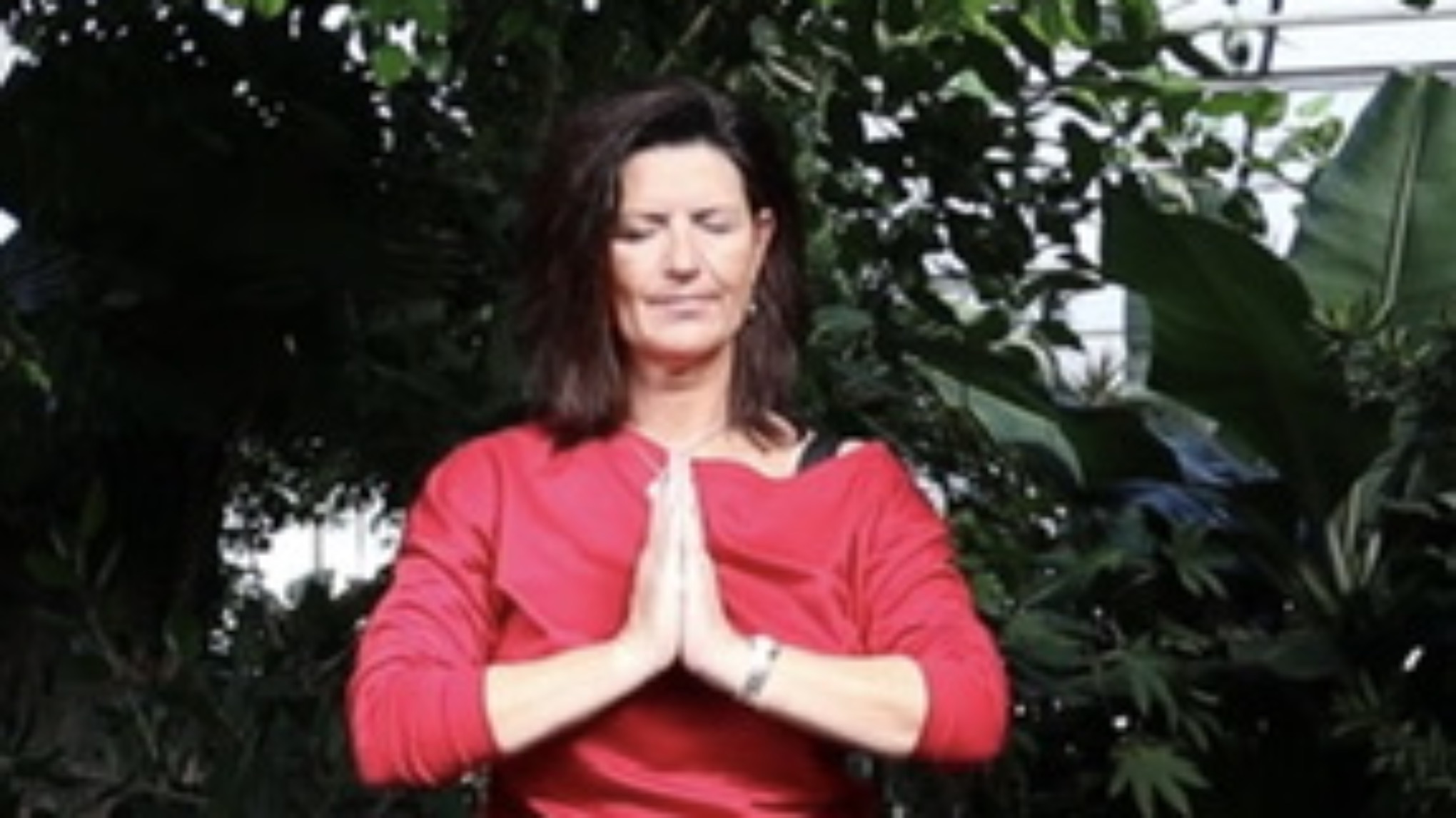 Introductieworkshop Zhineng Qigong
