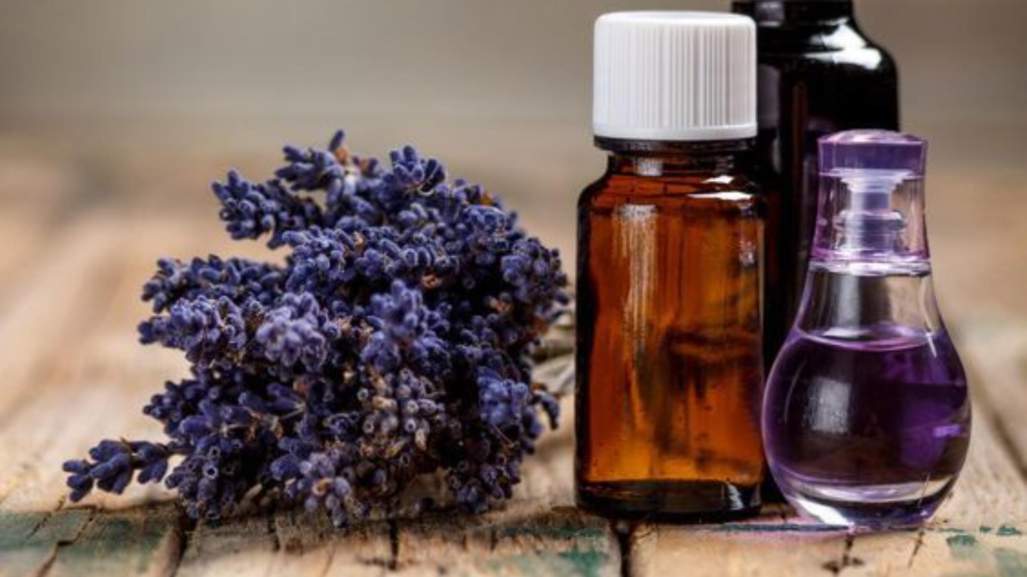 WORKSHOP 'YOGA & OILS'