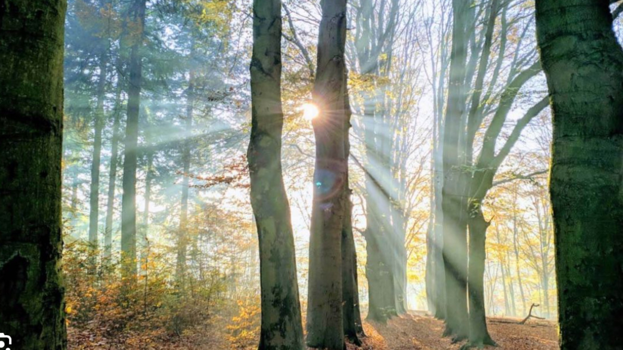 Stilte dag 2 februari 2024