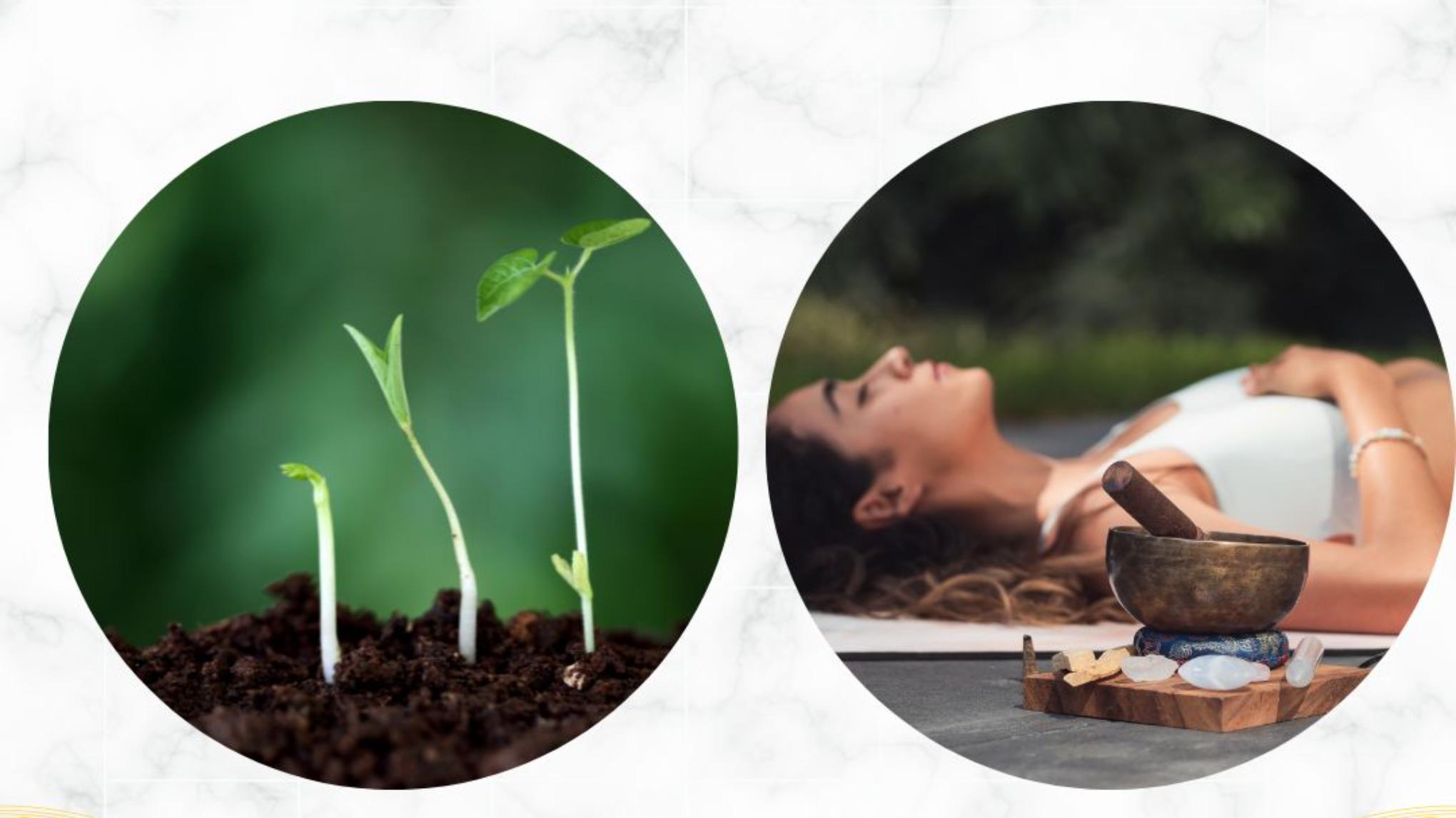 Mini Retreat: New Beginnings met Rosalie