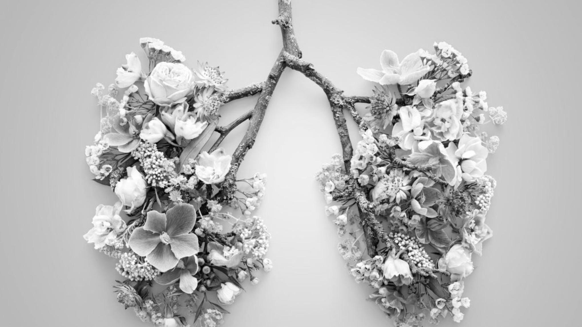 lessenreeks ADEMKRACHT - adem, yin & nidra - INSCHRIJVING 6 LESSEN