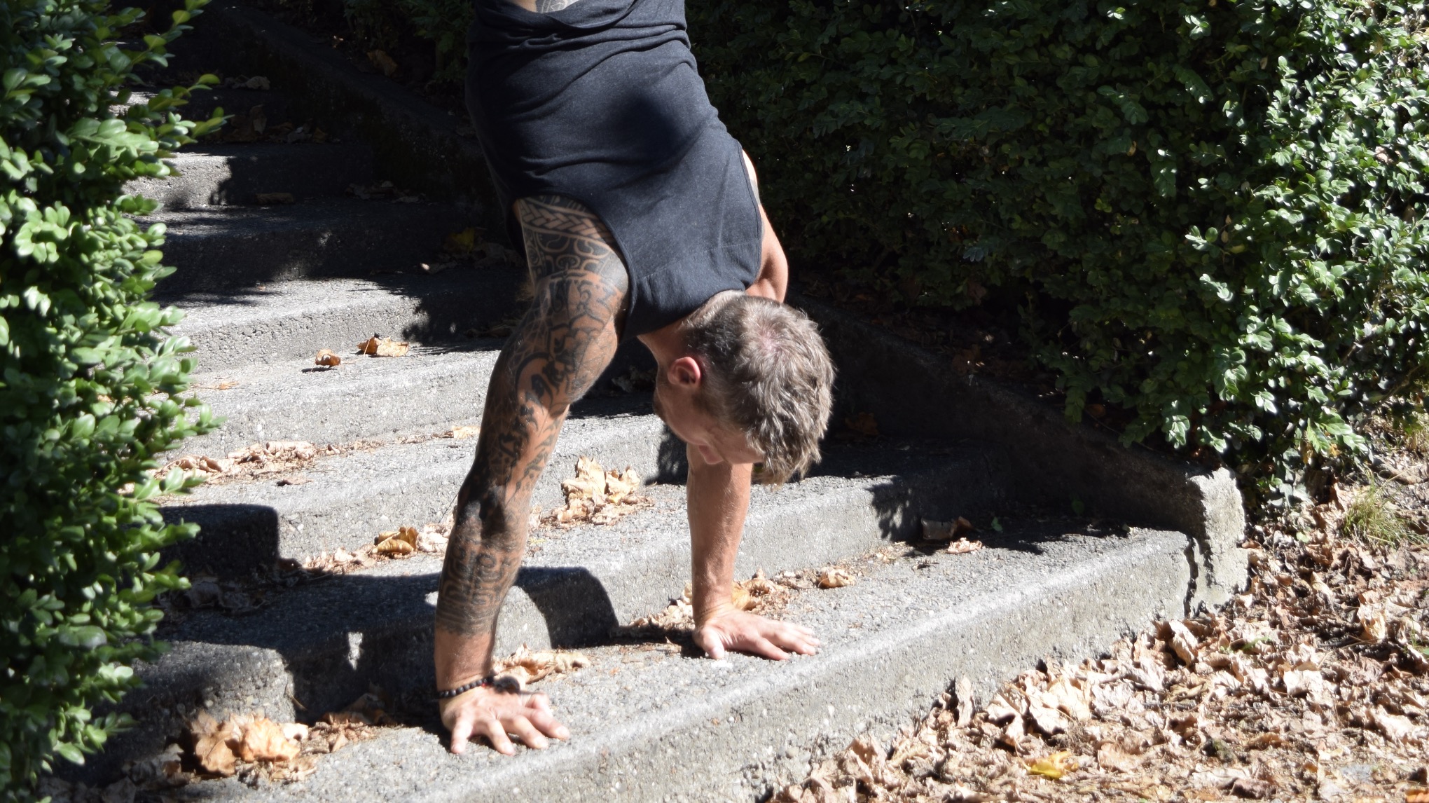 Atelier handstands : les bases et l'art de la chute