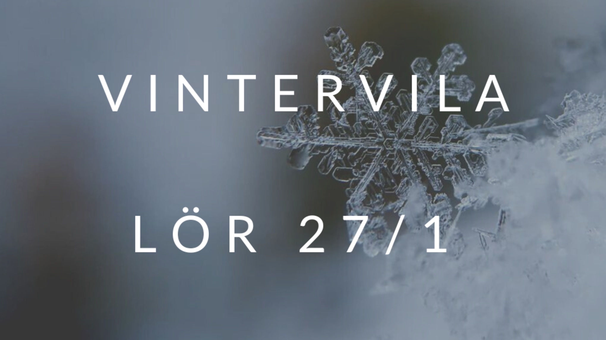 Vintervila - Restorative yoga