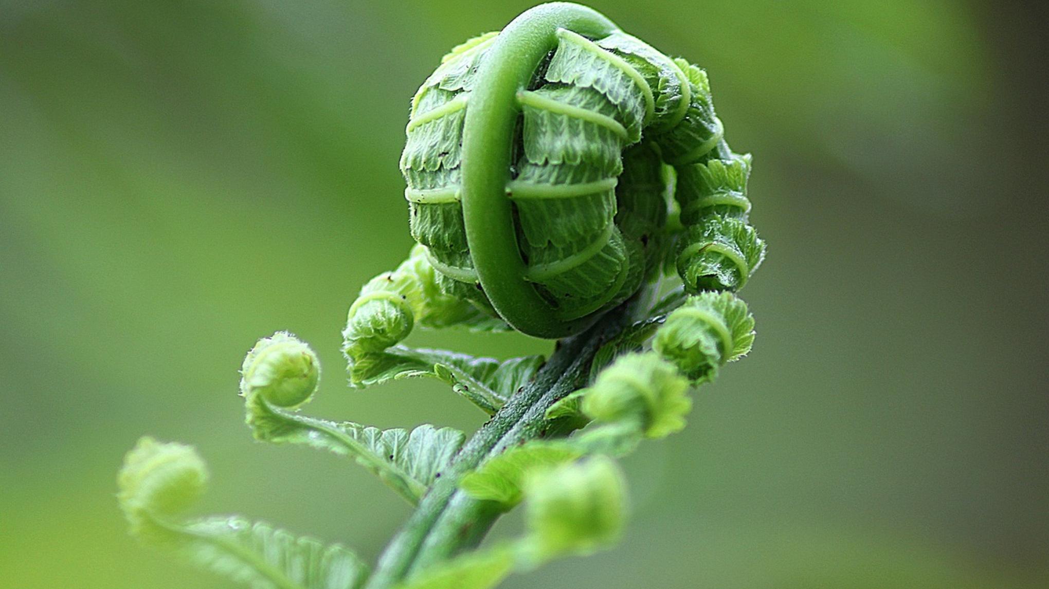 Workshop Happy Psoas