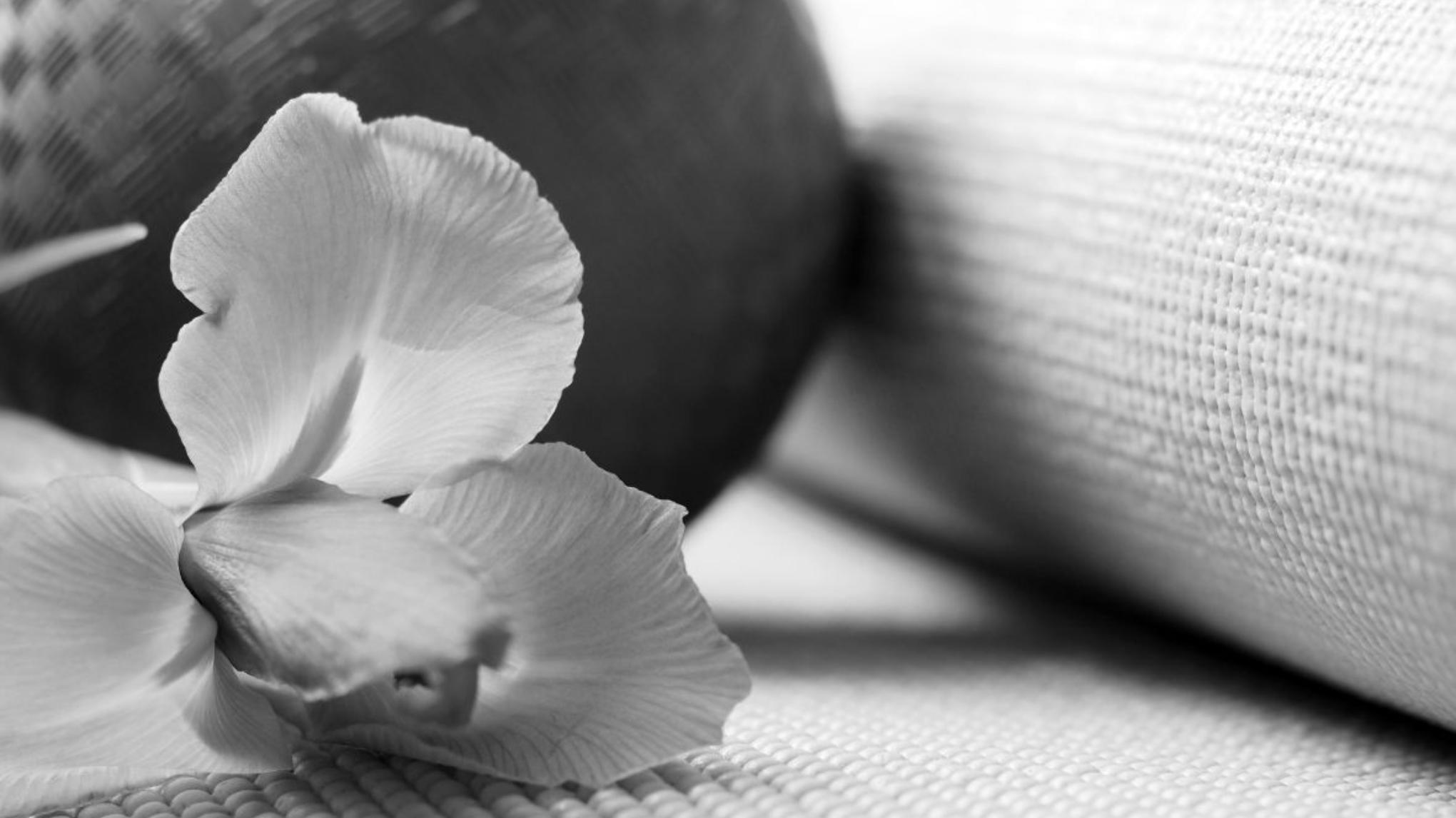 1 DAG LENTE RETREAT met zachte yoga, yoga nidra & ademcirkel