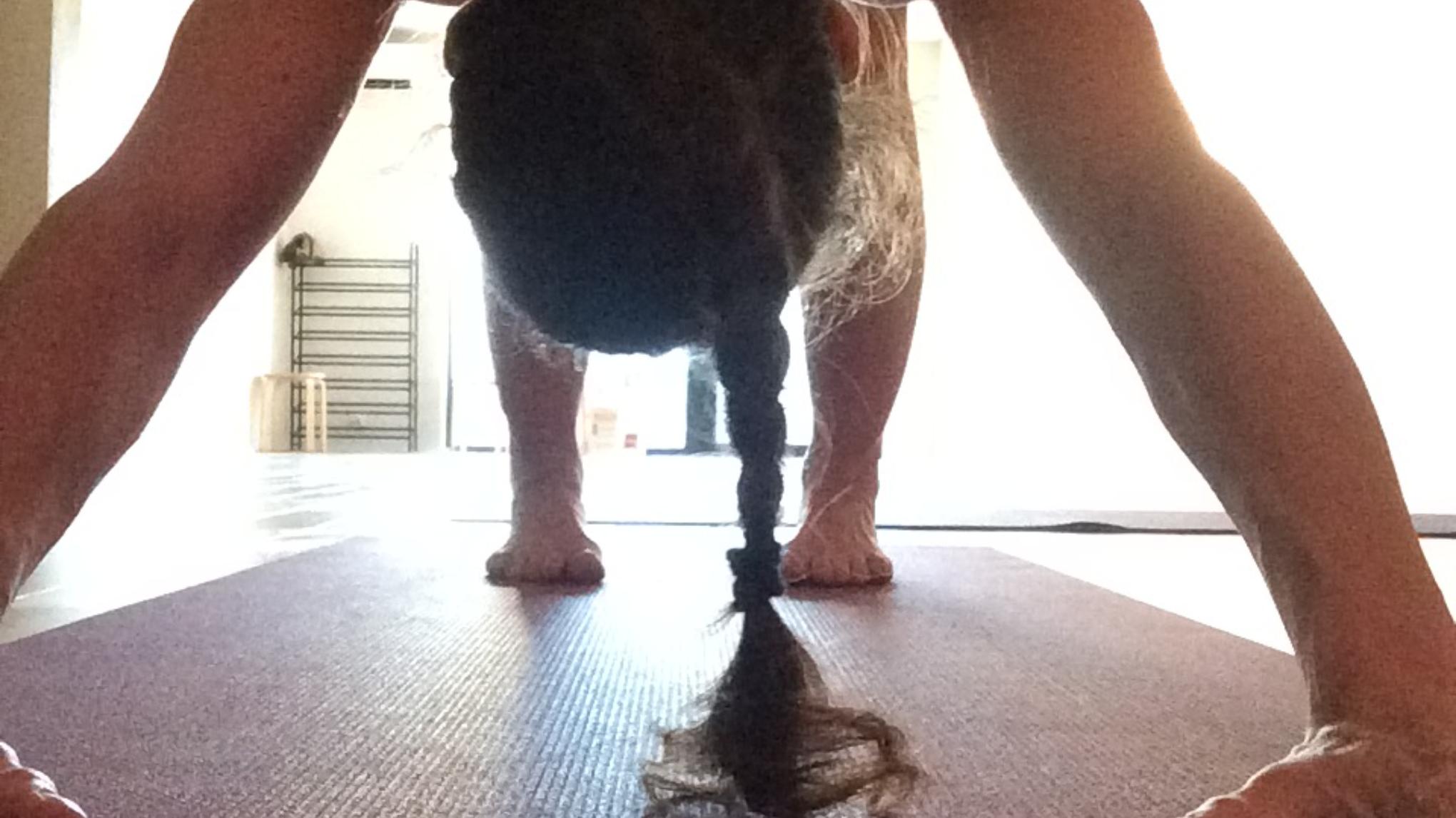 ⭐inscription la journée du 20/01🚩ATELIER Yoga Chikitsa à la loupe 🔎