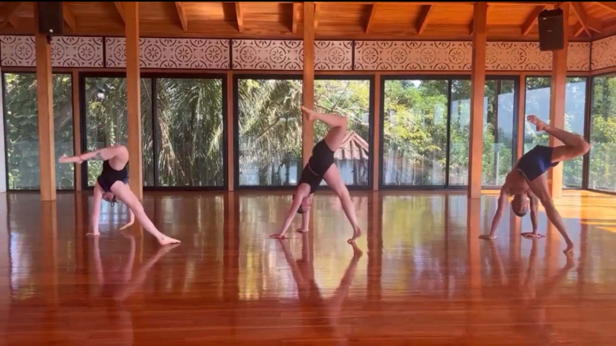 Animal Flow Masterclass with Alex