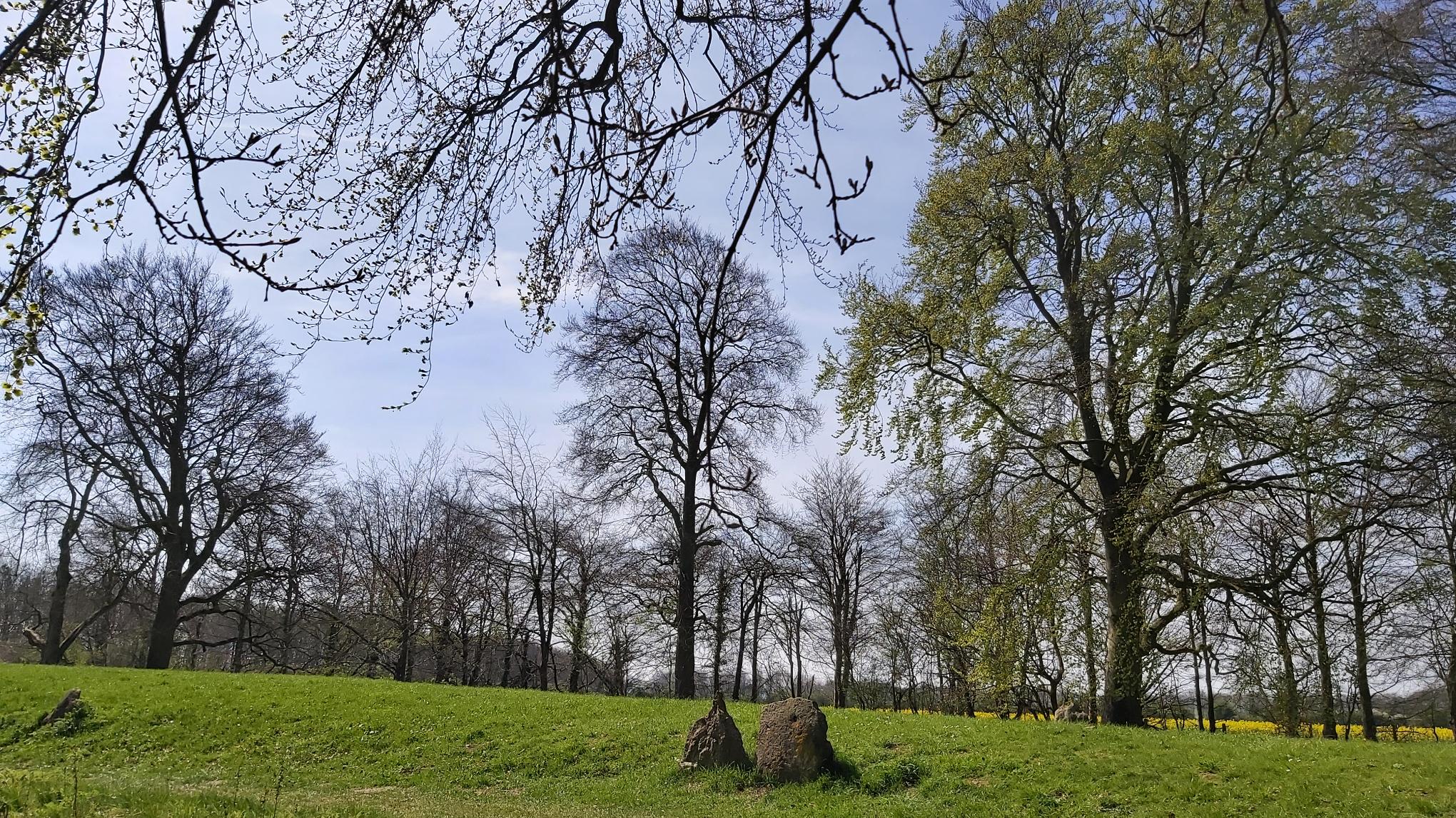 Spring Equinox Gong Bath with Restorative Yoga - 2.5 hours