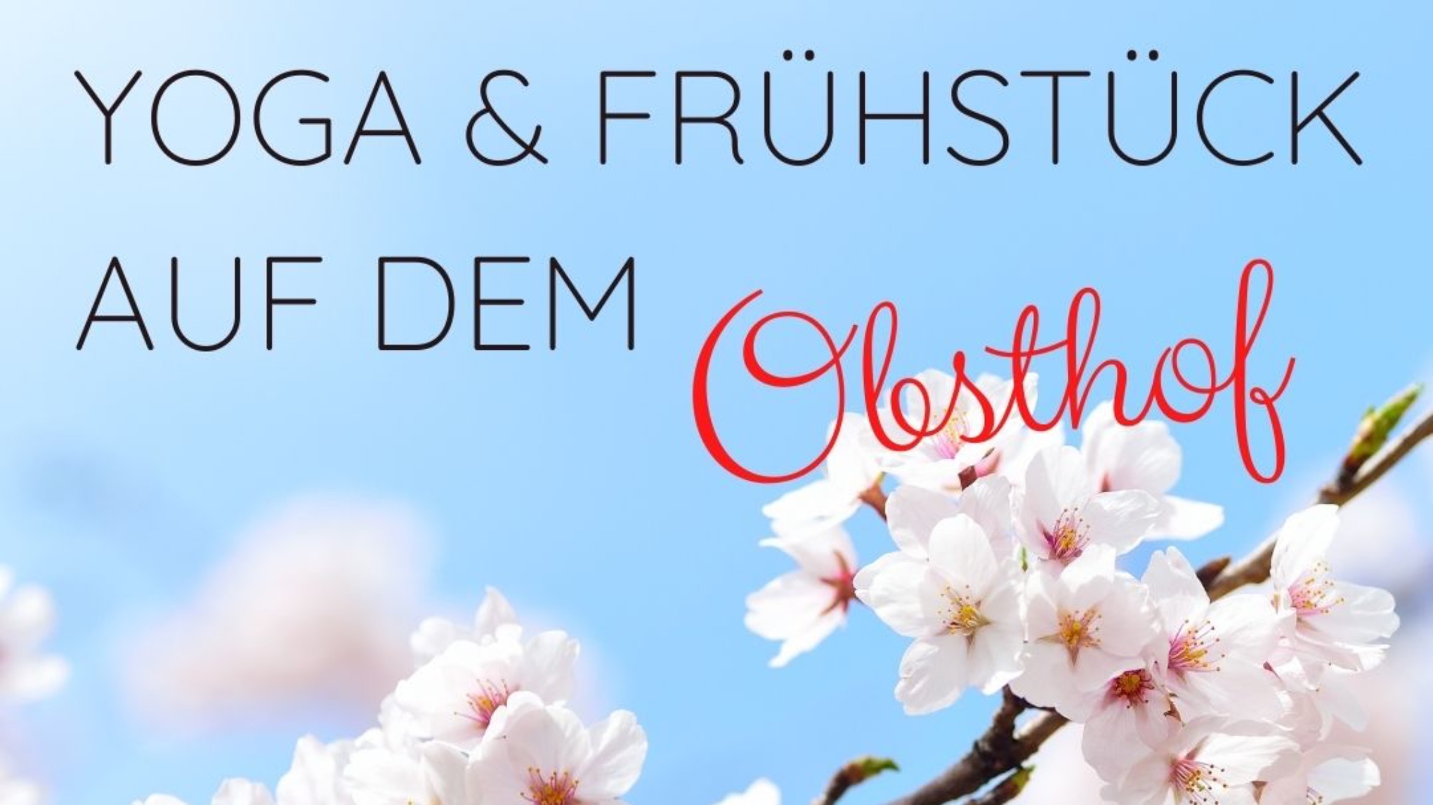 Yoga & Frühstück auf dem Obsthof
