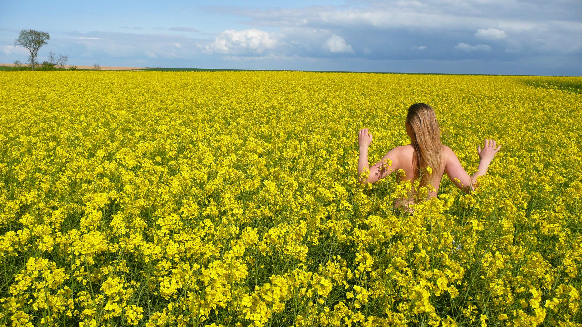 Introductiedag stembevrijding