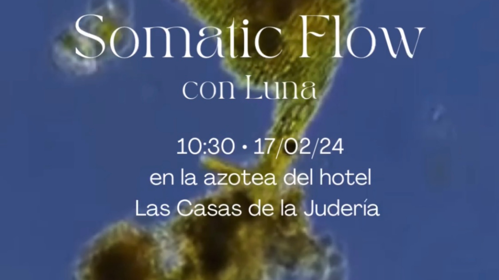Masterclass Somatic Flow con Luna