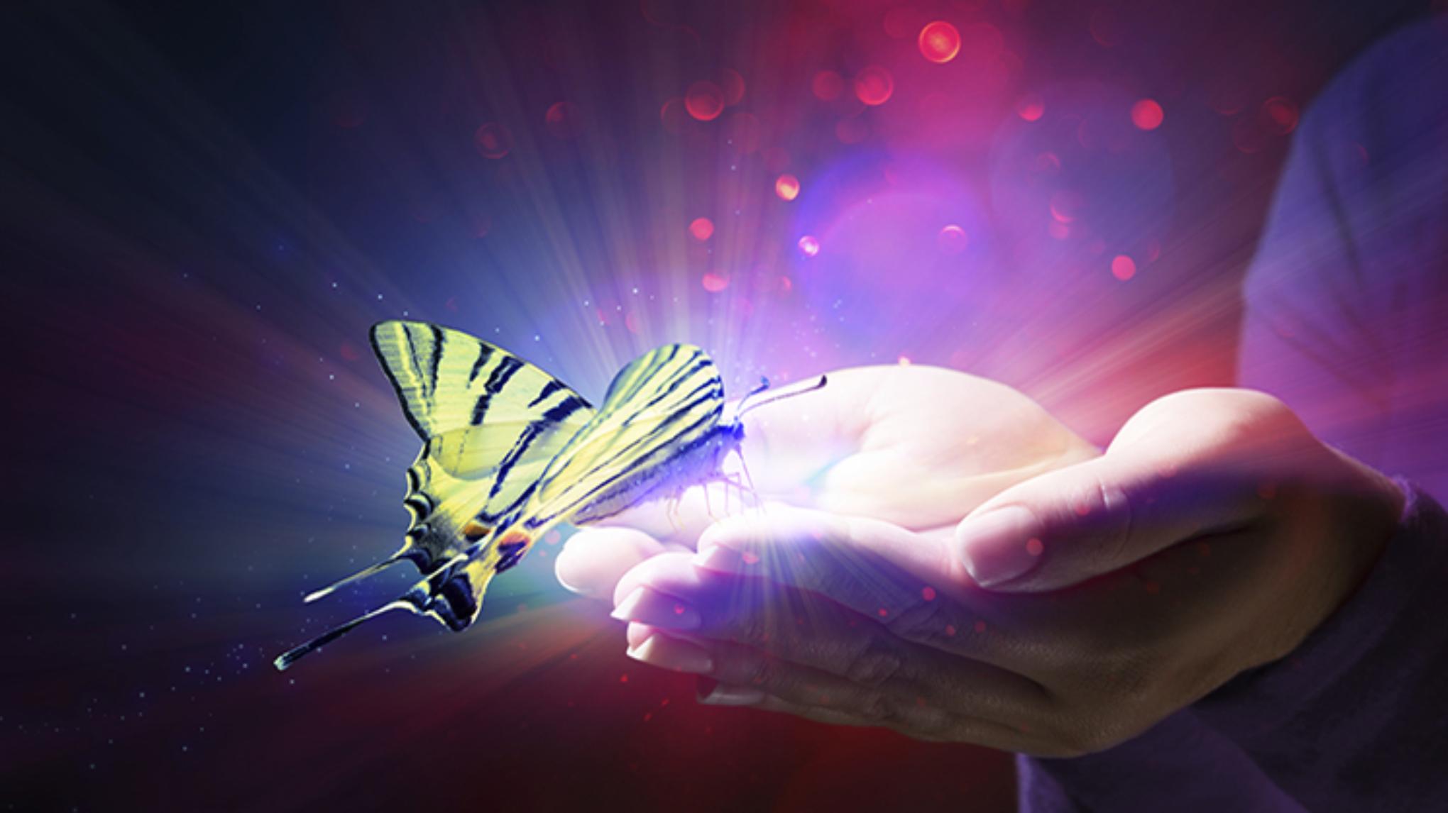 Usui/Holy Fire III - Reiki Level II Certificate