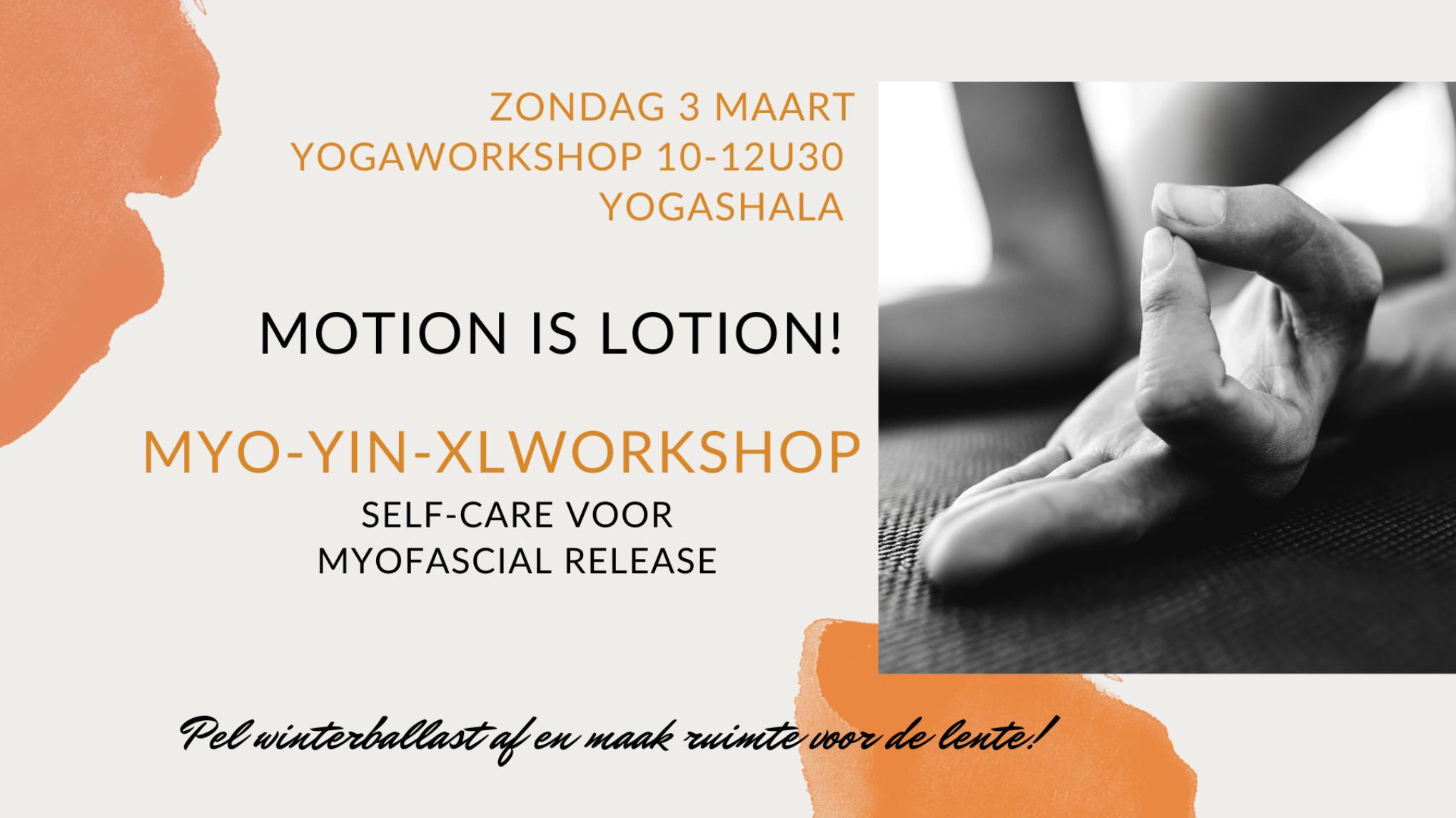MYO-YIN-XL WORKSHOP 03/03