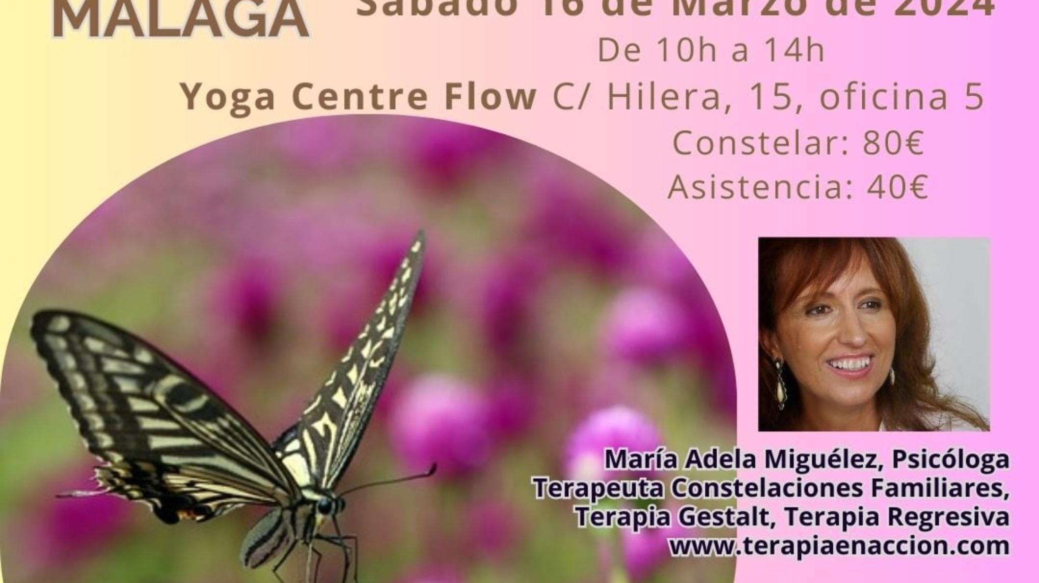 Taller Constelaciones Familiares