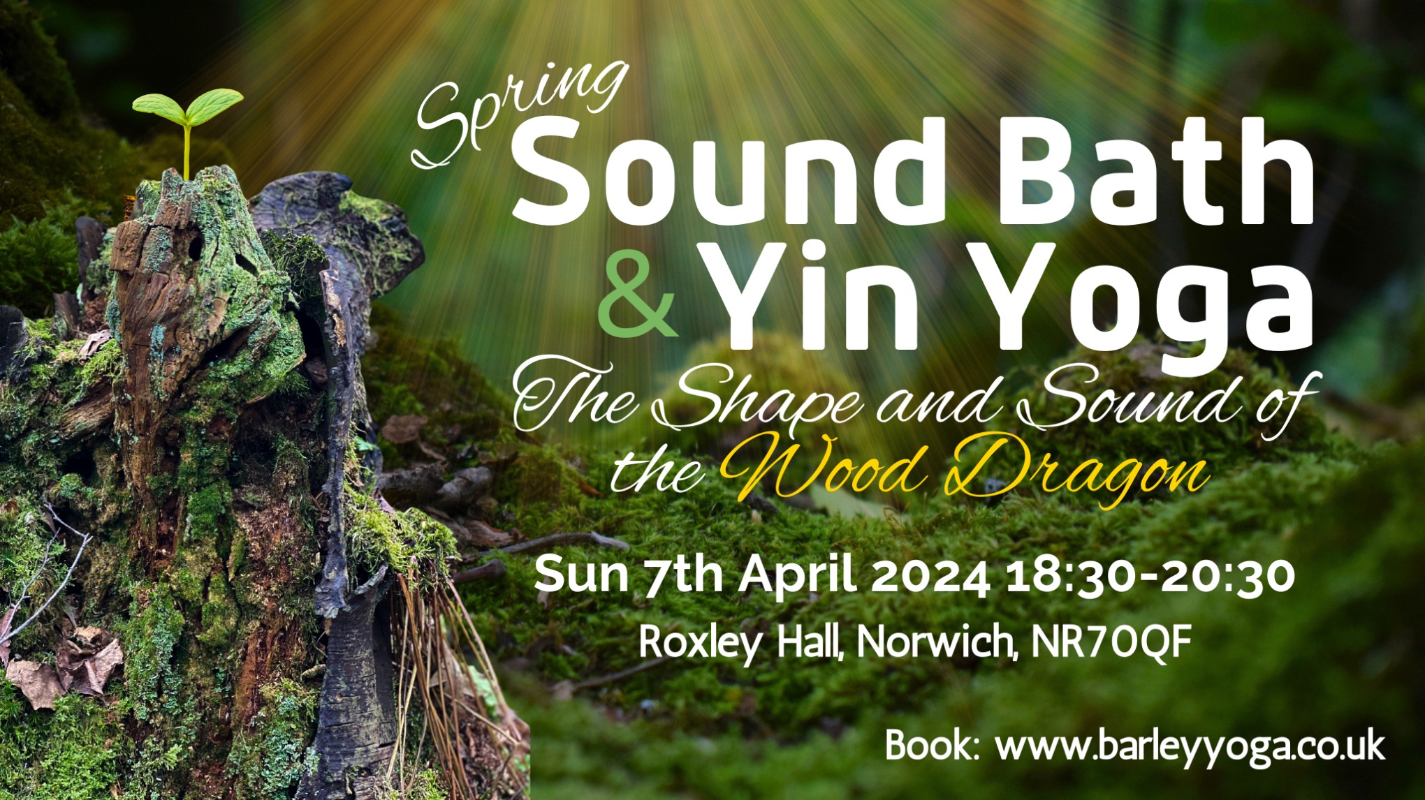 Sound Bath and yin yoga / the  Shape and sound of the Dragon