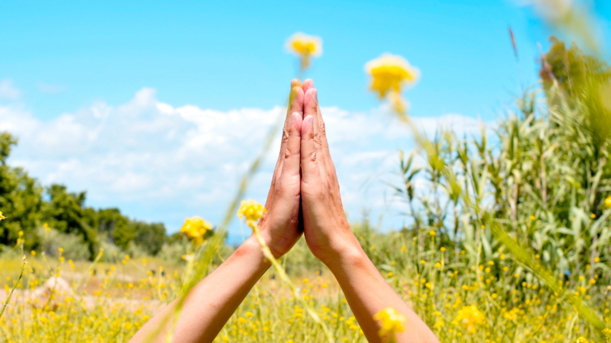 Spring Equinox - pop up Yoga Nidra Meditation at Zilda’s