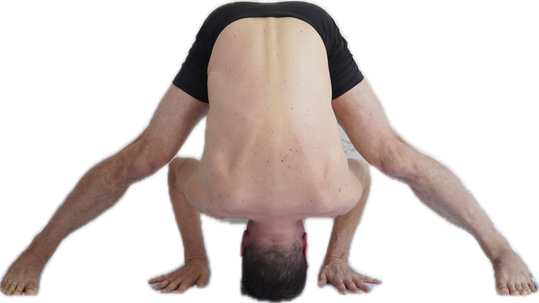 Aṣṭāṅga Vinyāsa Yoga: Erste Serie Intensivworkshop