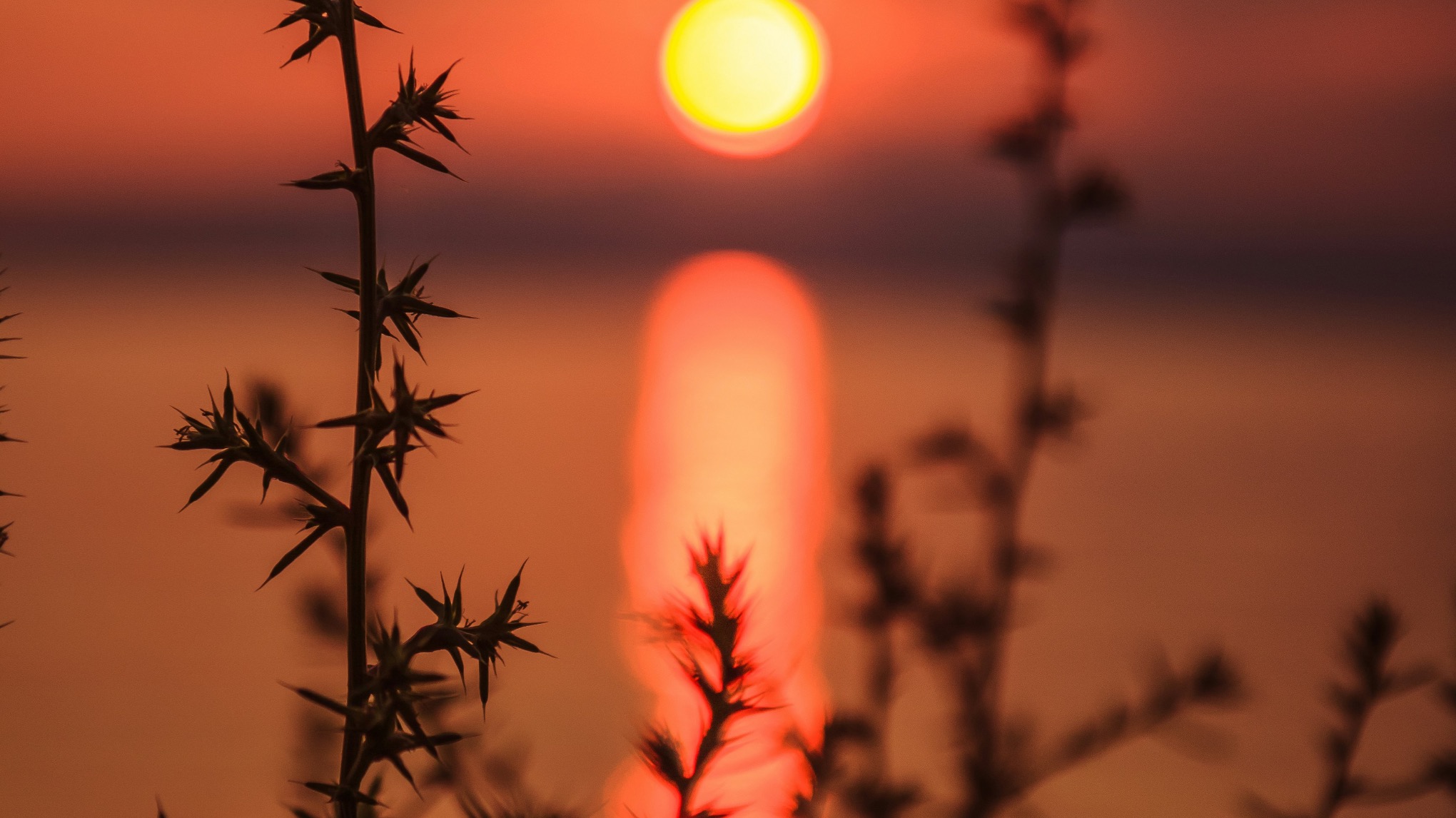 Late Summer Retreat Day