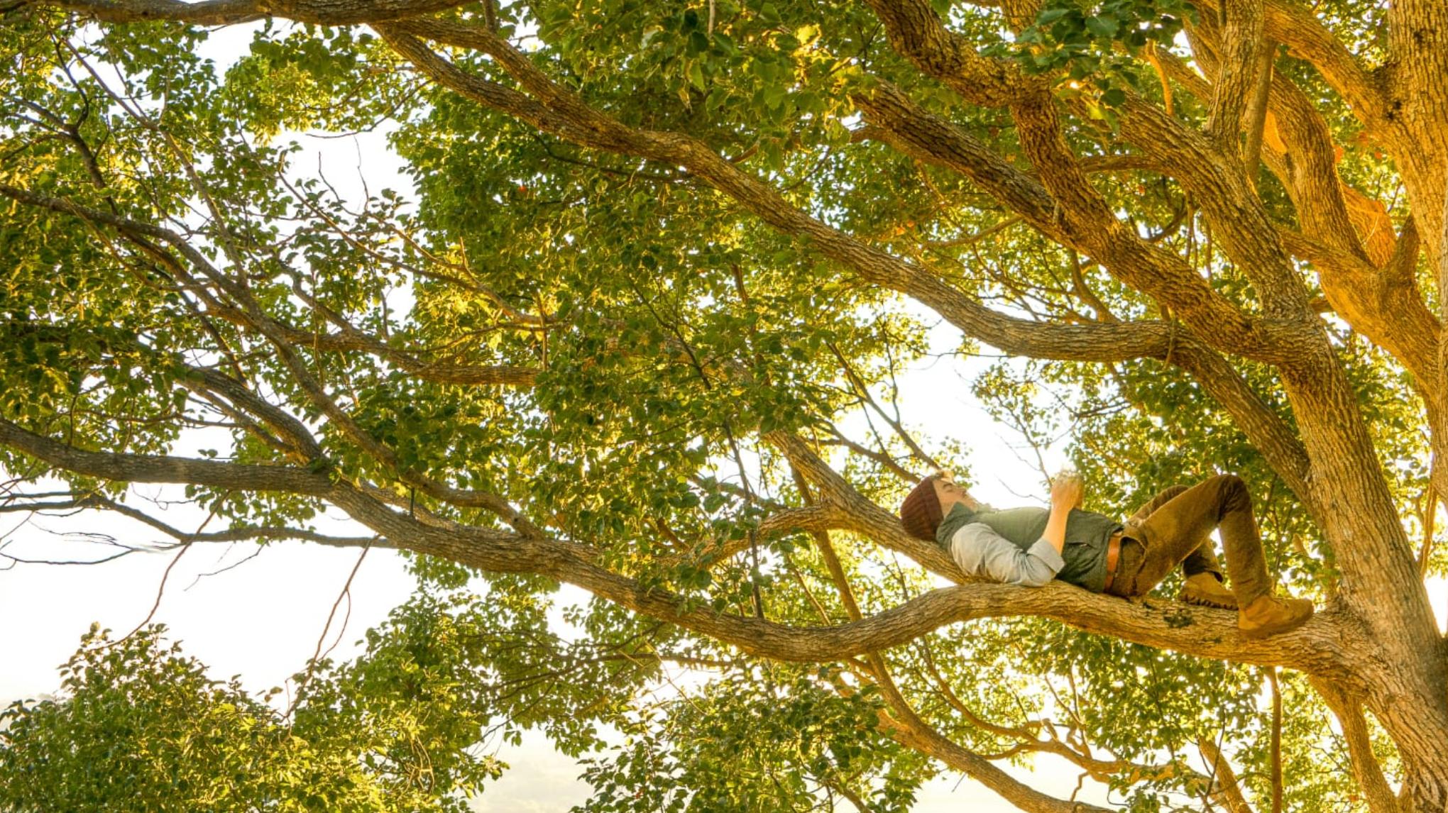 Taller Sosiego en el cuerpo