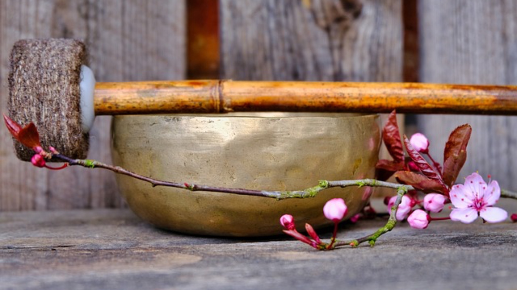 Bain sonore - atelier généreux