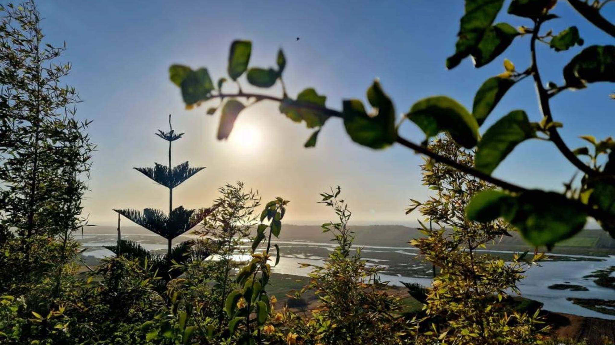 ALIGN & AWAKEN Yoga Retreat du 9 au 12 Mai Dirigée par Rajesh Kumar