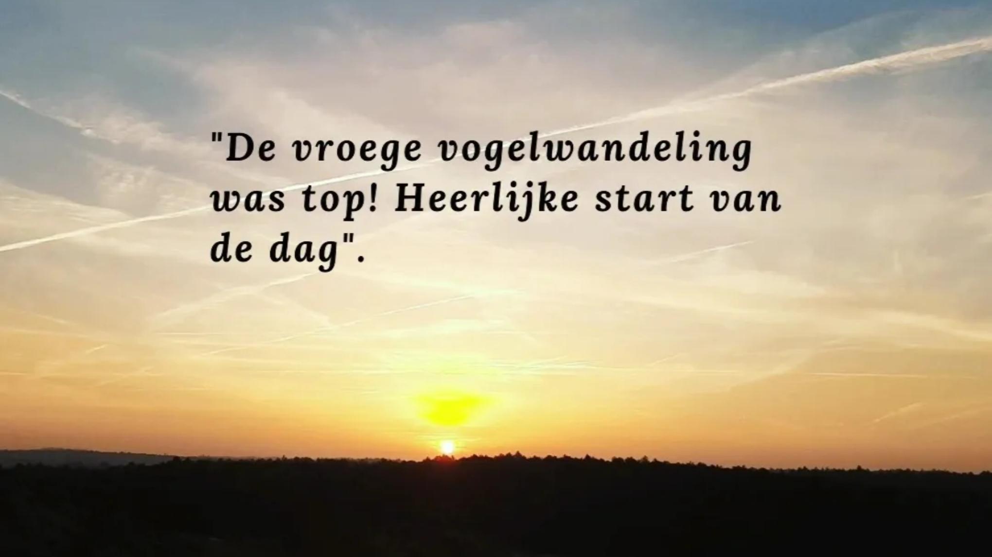 Vroege vogelwandeling (12 km)