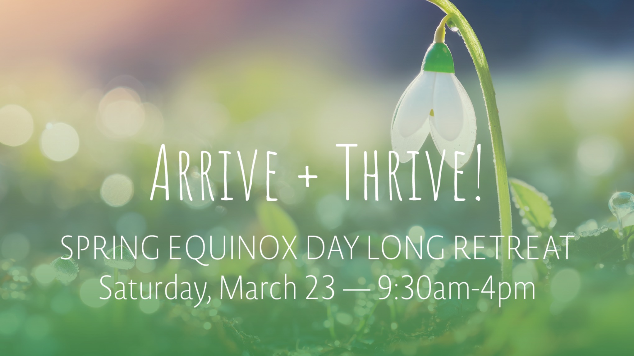 Arrive + Thrive! Day Long Retreat | Mar23