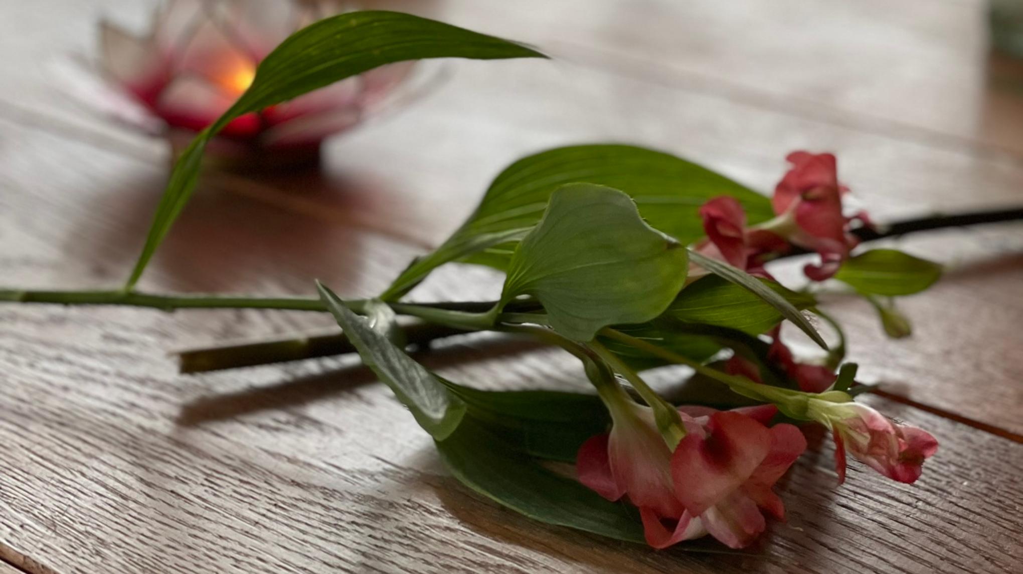 Vrouwenkracht Het ritme van jouw natuur