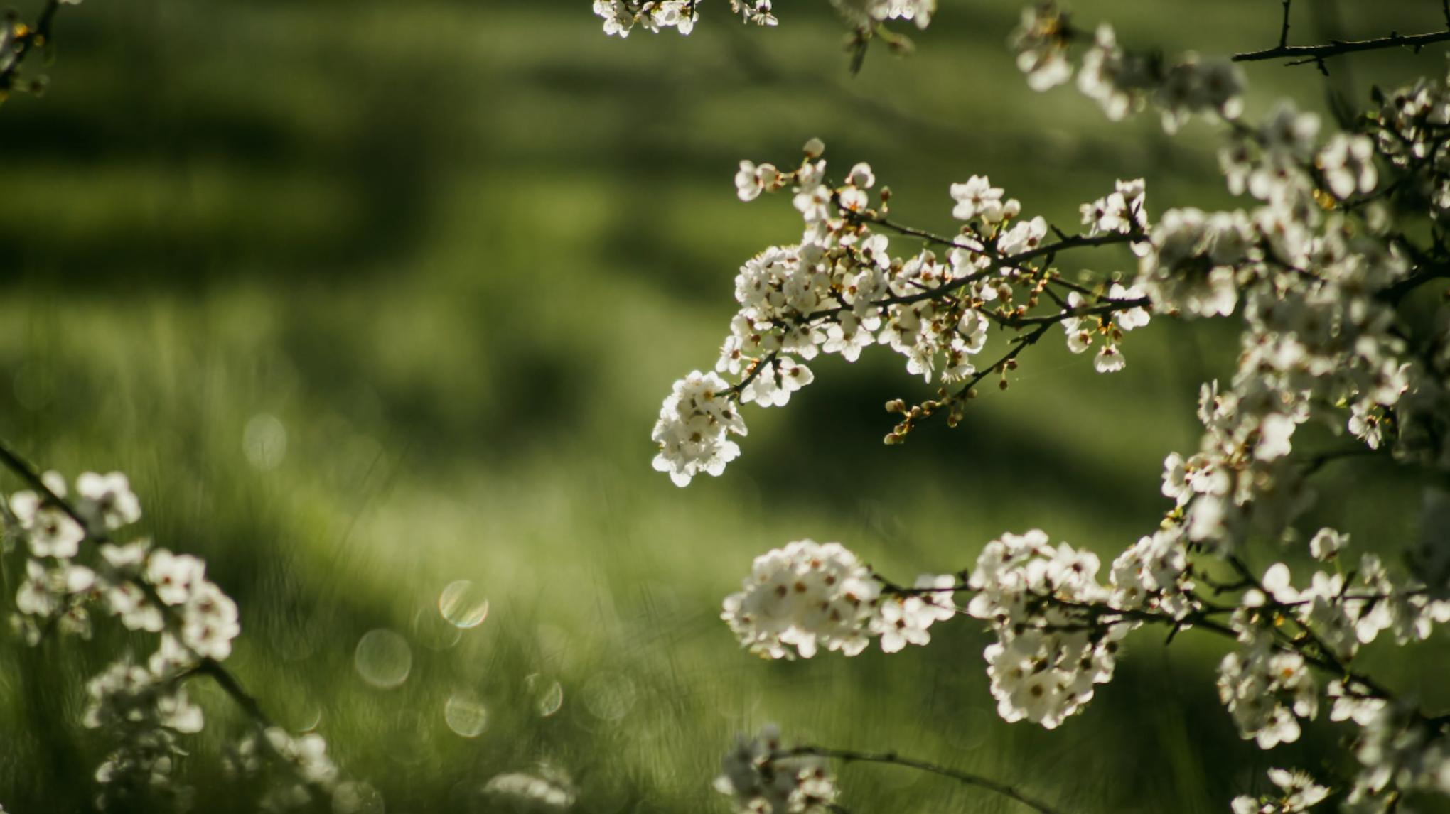 2eme date : Atelier de Printemps : Yin & Yang